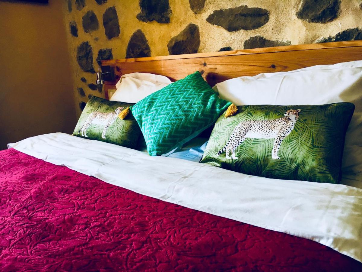 Chambre D'Hotes La Grange Des Ecrins Chabottes Екстериор снимка