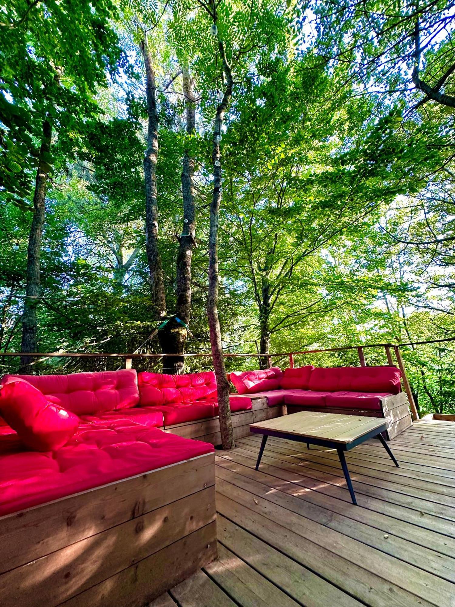 Chambre D'Hotes La Grange Des Ecrins Chabottes Екстериор снимка